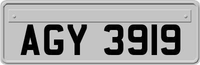 AGY3919