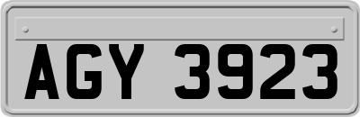 AGY3923