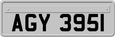 AGY3951