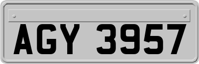 AGY3957