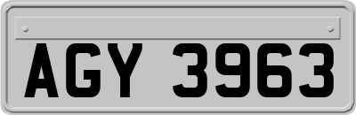AGY3963