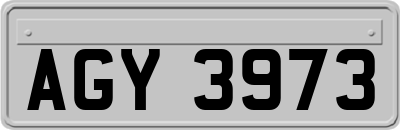 AGY3973