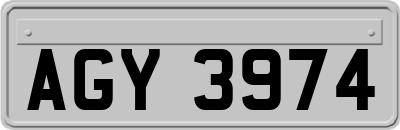 AGY3974