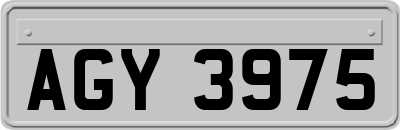 AGY3975