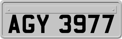AGY3977