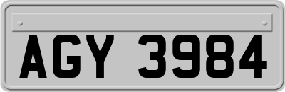 AGY3984
