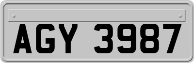 AGY3987