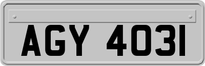 AGY4031