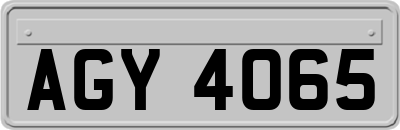 AGY4065