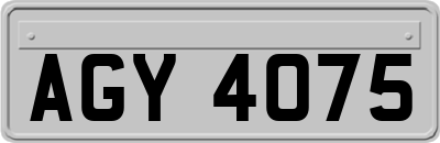 AGY4075