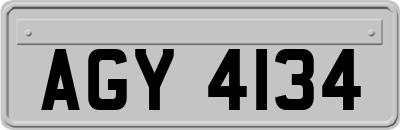 AGY4134
