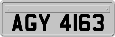 AGY4163