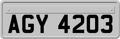AGY4203
