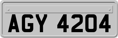 AGY4204