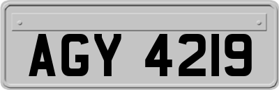 AGY4219