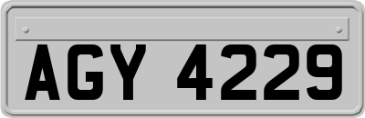 AGY4229