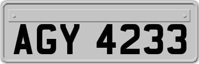 AGY4233