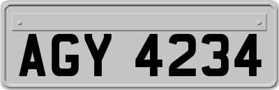 AGY4234