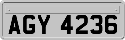 AGY4236
