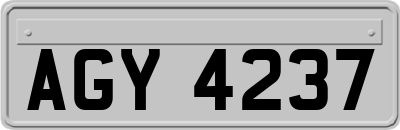 AGY4237