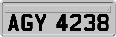 AGY4238