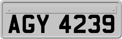 AGY4239