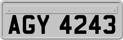 AGY4243