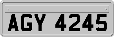 AGY4245