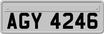 AGY4246