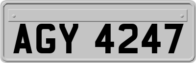 AGY4247