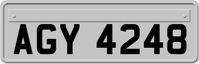 AGY4248