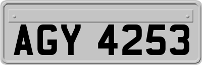 AGY4253