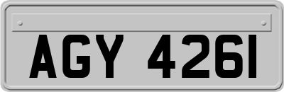 AGY4261