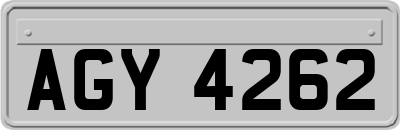 AGY4262