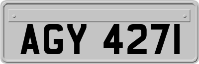 AGY4271