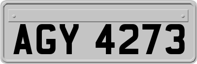AGY4273