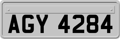 AGY4284