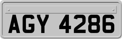 AGY4286