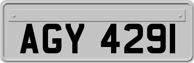 AGY4291