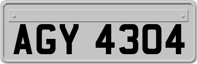 AGY4304
