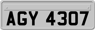 AGY4307