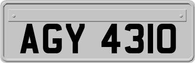 AGY4310