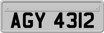 AGY4312