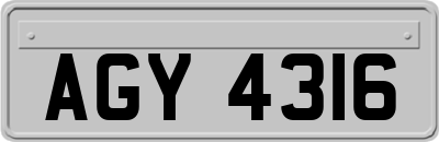 AGY4316