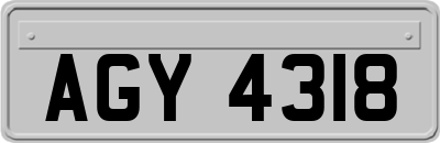 AGY4318