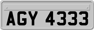 AGY4333
