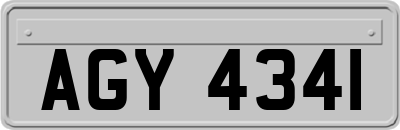 AGY4341