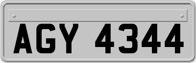 AGY4344
