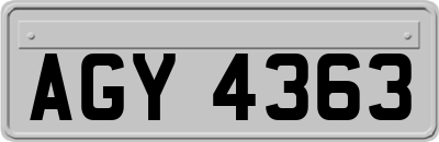 AGY4363