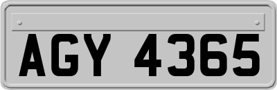 AGY4365